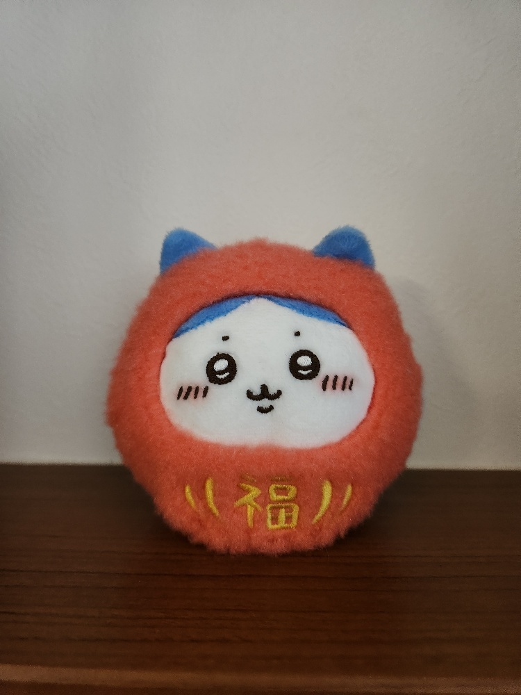 20260102_091156_resized