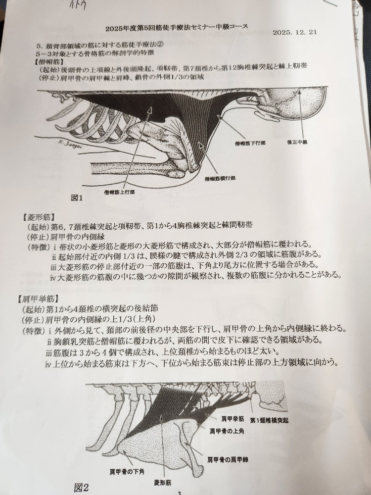 20251231_113753_resized